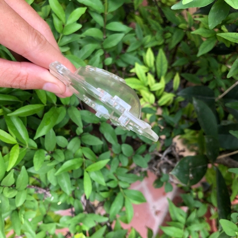 Khuôn Cam/Ổi Hình Thỏi Vàng