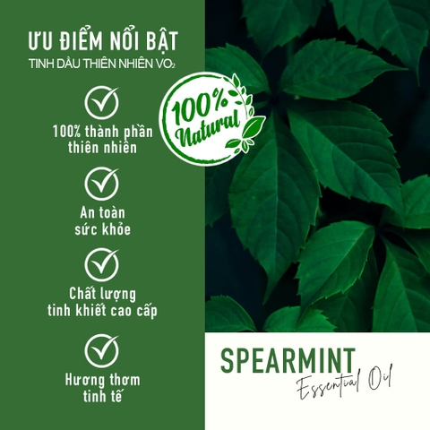 Tinh Dầu Thiên Nhiên Bạc Hà Dùng Cho Máy Phun Tinh Dầu Công Nghiệp VO2 Pure Collection - Spearmint