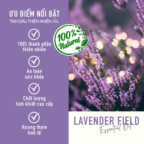 Tinh Dầu Thiên Nhiên Oải Hương Dùng Cho Máy Phun Tinh Dầu Công Nghiệp VO2 Pure Collection -  Lavender Field