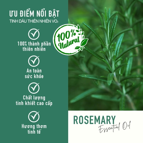 Tinh Dầu Thiên Nhiên Hương Thảo Dùng Cho Máy Phun Tinh Dầu Công Nghiệp VO2 Pure Collection - Rosemary