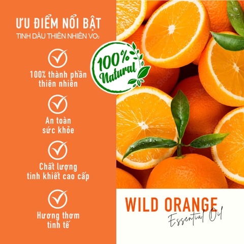 Tinh Dầu Cam Thiên Nhiên Dùng Cho Máy Phun Tinh Dầu Công Nghiệp VO2 Pure Collection - Wild Orange
