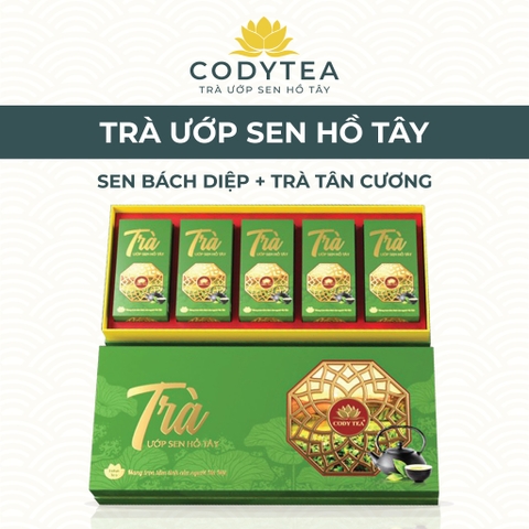 Trà ướp sen Hồ Tây - Đại Thọ