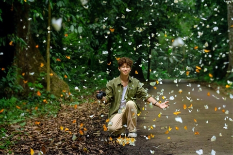 Khách đổ đến check in vườn Cúc Phương mùa bướm