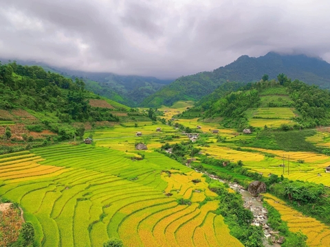 Thời điểm săn 'mùa vàng' ở các tỉnh miền núi phía Bắc