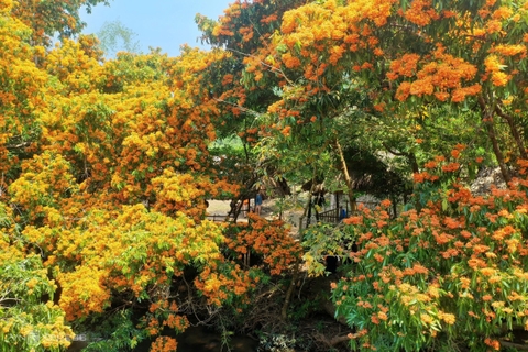 Tà Má - suối hoa trang rực rỡ ở Bình Định