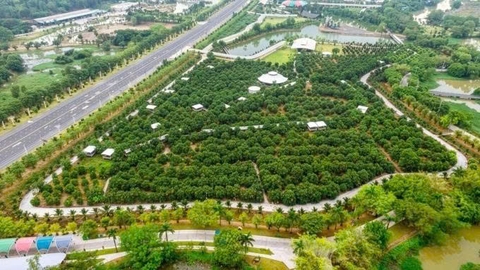 Sơn Tiên ra mắt khu du lịch sinh thái miệt vườn