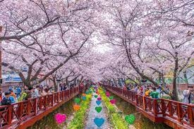 Hà Nội - Seoul - Morning Calm - Nami - Công Viên Yeouido - Lotte Word - Hà Nội