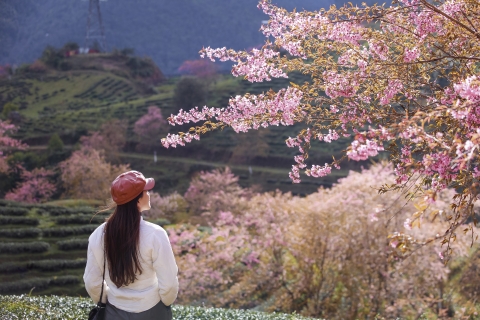HÀ NỘI - SA PA -  HÀ NỘI