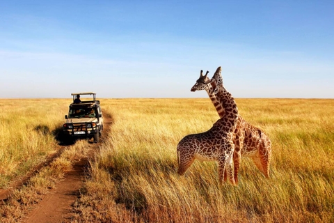 Khám Phá Vùng Đất “Ngoài Hành Tinh” Botswana - Namibia