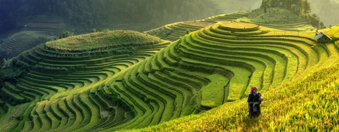 VYT Travel