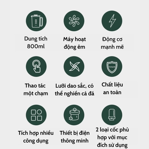 Máy xay sinh tố đa năng, dung tích 800ml YD-Z01
