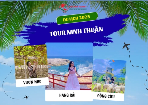 TOUR HANG RÁI VĨNH HY ĐỒNG CỪU VƯỜN NHO
