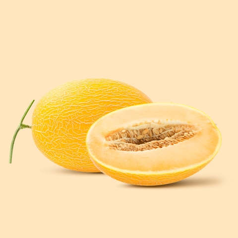 Dưa Lưới Huỳnh Long - Hữu cơ giống loại 1 Malaysia-Kg