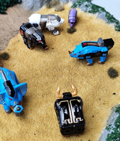 Animarium ( Đảo rùa )