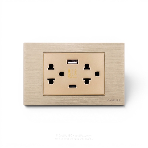Ổ cắm đôi Kiểu Thái + USB x2 (Type A+C) Nhôm Xước VÀNG