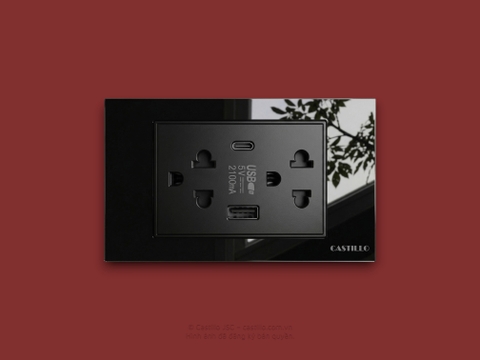 Ổ cắm đôi Kiểu Thái + USB x2 (Type C) Kính cường lực ĐEN