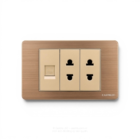 Ổ cắm Internet + 2 Ổ cắm Inox xước VÀNG