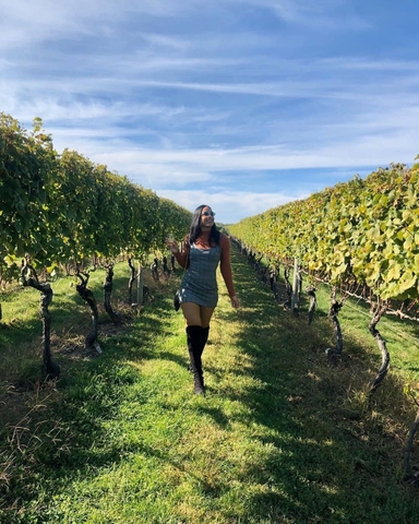 Nguồn gốc Rượu vang