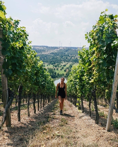 Vang Ý Ripa Di Sotto Cuvee'