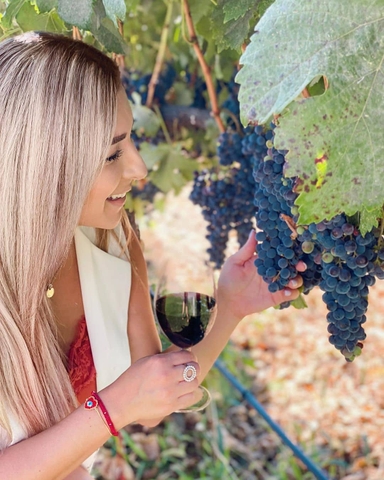 Những hiểu biết sâu sắc về một số giống nho đỏ cổ điển