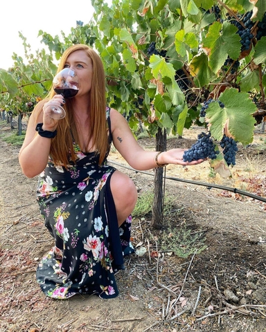 Tại sao bạn nên uống nhiều rượu vang từ Sicily và Puglia