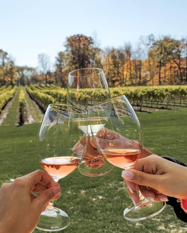 Cách làm rượu đỏ và rượu Rose’