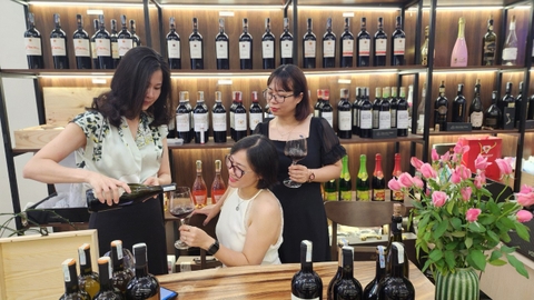 Rượu vang nhập khẩu