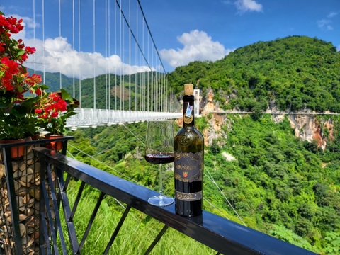 Cách Chọn Ly Rượu Phù Hợp Cho Từng Loại Rượu