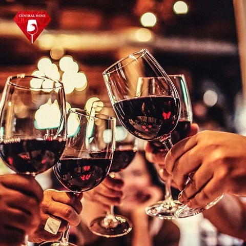 Cách chọn rượu vang ngon thưởng thức cho mùa lễ tại nhà