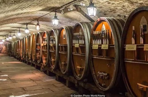 Nơi chữa bệnh bằng rượu vang ở Pháp