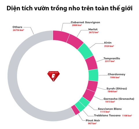 Top 10 loại rượu vang phổ biến nhất trên thế giới