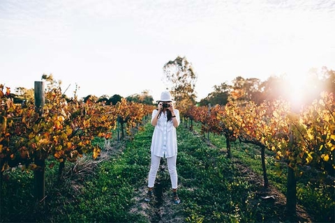 Đến Tây Úc thưởng thức đặc sản, ngắm vườn nho bạt ngàn