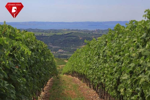 Khám phá năm khu vực làm rượu vang tuyệt vời tại Veneto - Ý