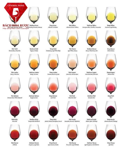 Bảng màu rượu vang và bật mí về ý nghĩa ít ai biết hiện nay