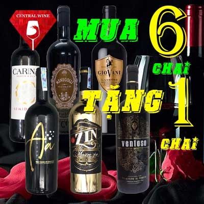 Khuyến Mãi Hấp Dẫn Tháng 1 - Mua 6 Tặng 1