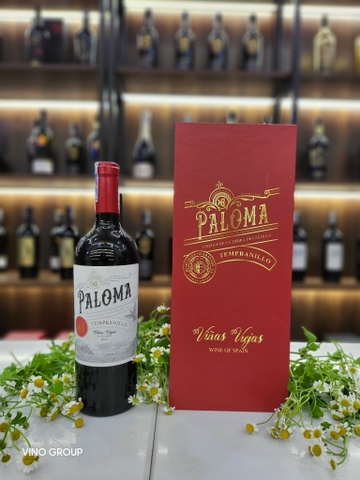 Hướng dẫn cho người mới bắt đầu về rượu vang Tây Ban Nha