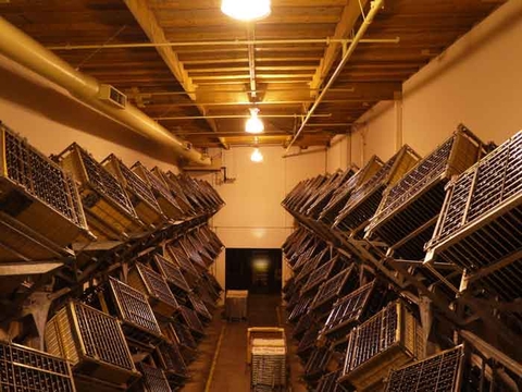 Tìm hiểu quá trình sản xuất rượu vang sủi bọt và Champagne