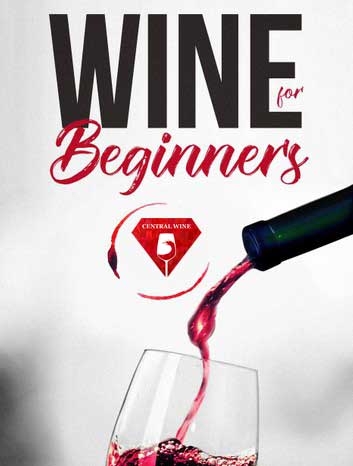 4 loại rượu vang đỏ cho người mới bắt đầu