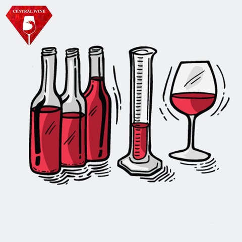 Rượu vang đỏ được sản xuất như thế nào? Các bước làm rượu vang đỏ