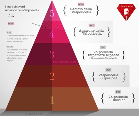 Tháp phân hạng rượu vang Valpolicella (từ Classico đến Amarone)