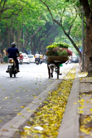 Mùa thu Hà Nội là mùa của thơ.