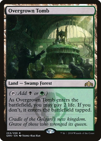 Magic: The Gathering - Guilds of Ravnica - Overgrown Tomb (253)