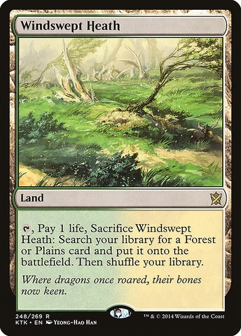 Magic: The Gathering - Khans of Tarkir - Windswept Heath (248)