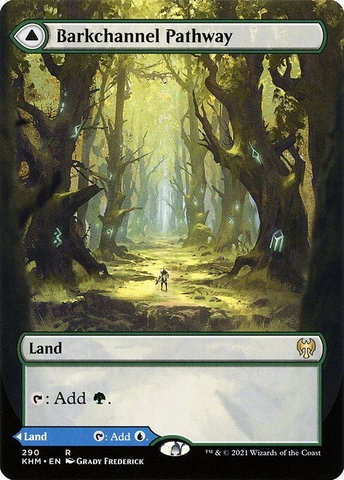 Magic: The Gathering - Kaldheim - Barkchannel Pathway // Tidechannel Pathway (290)