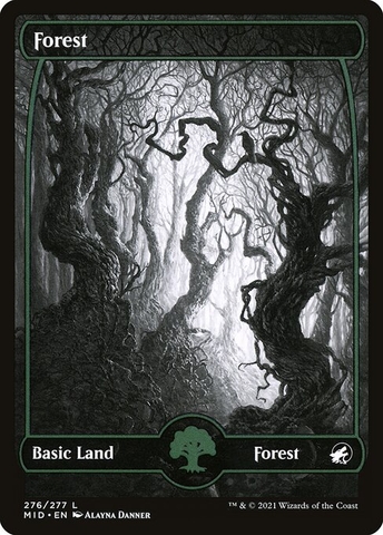 Magic: The Gathering - Innistrad: Midnight Hunt - Forest (276) Foil