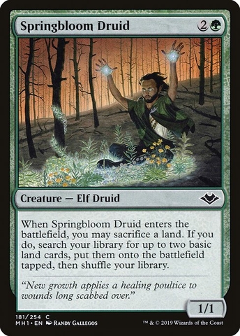 Magic: The Gathering - Modern Horizons - Springbloom Druid (181)