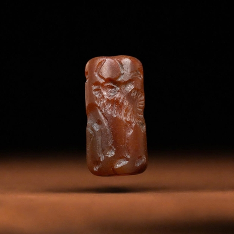 Lu Thống Thân Nâu Đỏ