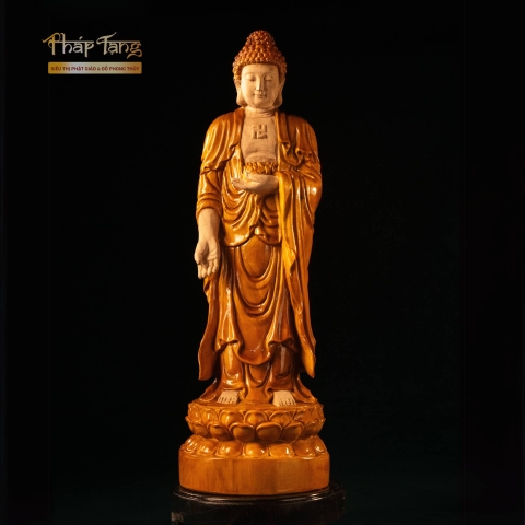 Tượng Phật A Di Đà – Gỗ Nam Mộc Cao 48cm | Pháp Tạng