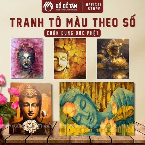 Bộ Tranh Tô Màu Theo Số Canvas 40x50cm – Khung Sẵn, Màu Acrylic