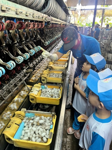 Các bé lớp mẫu giáo 5 tuổi tham quan xưởng ươm tơ.